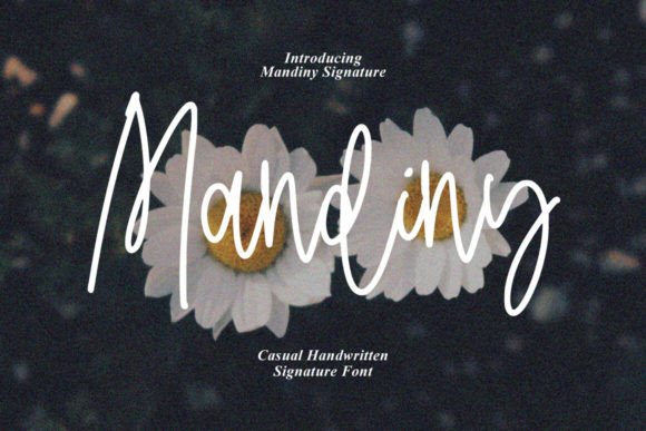 Mandiny Font: Elevating Web Design with Signature Style