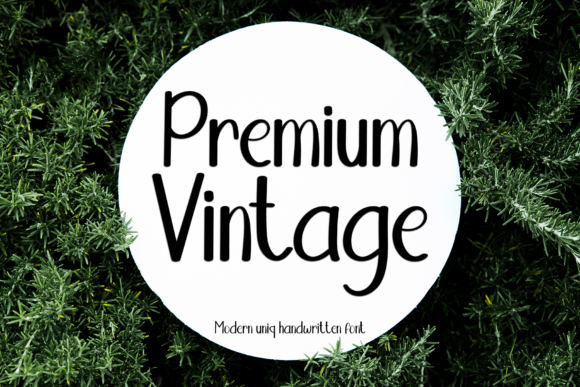 Premium Vintage Font: A Marketer's Review for Campaign Design