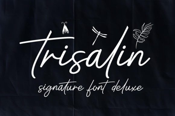 Trisalin: A Handwritten Typeface for Modern Editorial Design